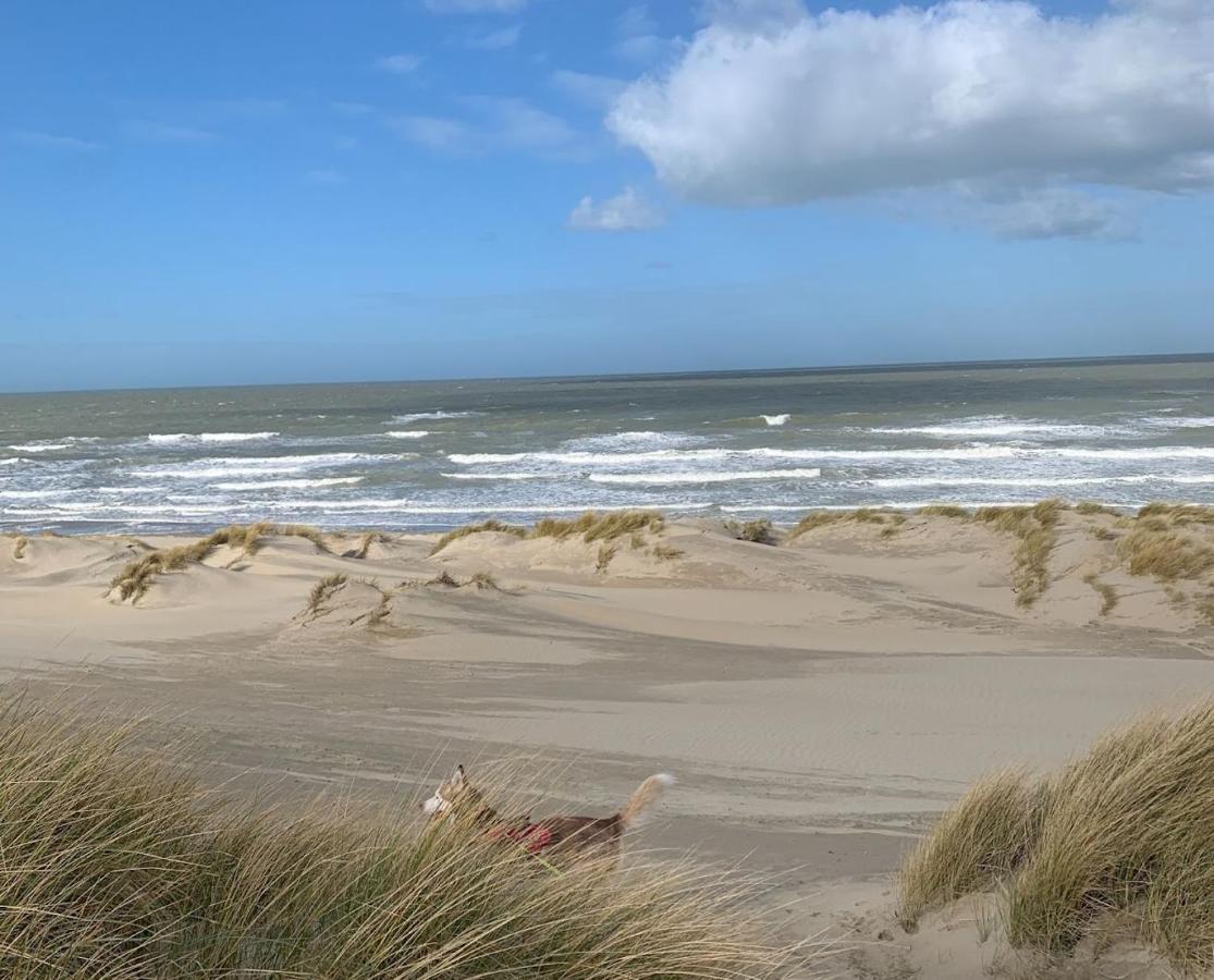 Moderne Studio Aan Het Strand In Oostduinkerke-Bad Koksijde Exterior photo